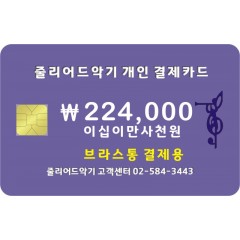 브라스통 224,000원 결제창 입니다.