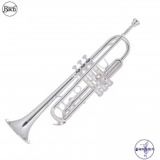 바하 TR501S Bb 트럼펫