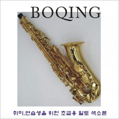 연습용 알토색소폰 BOQING