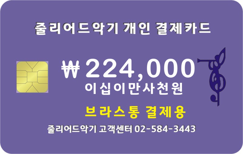 브라스통 224,000원 결제창 입니다.