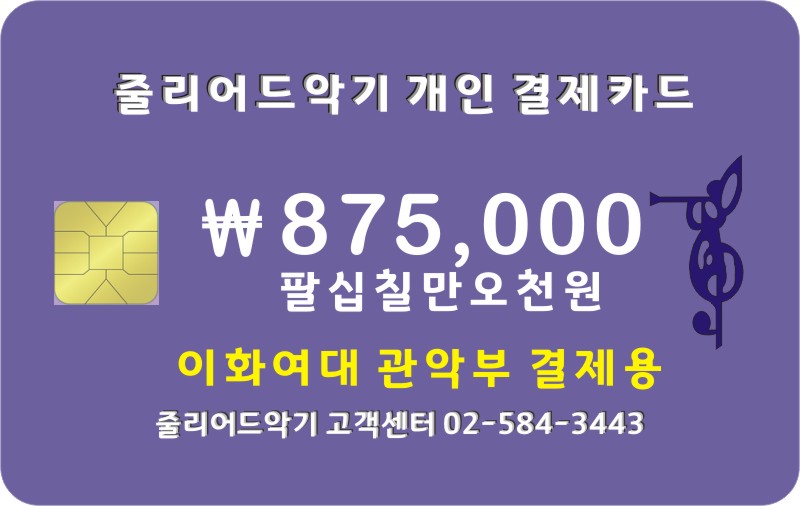 이화여대 관약부 악기마스크 875,000원 결제창 입니다.
